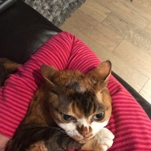 Meet your Posher, Holly